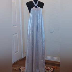 NWT Windsor Elegant TS BEIGE shimmer Full Length Dress Size L Msrp $79.90